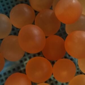 Orange round Tumbled