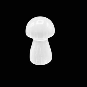 Selenite Mushroom