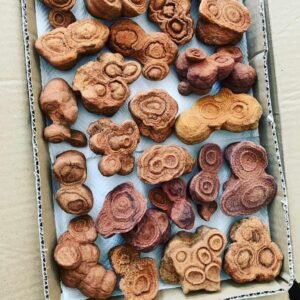 Wholesale natural Moroccan sandstone concretions