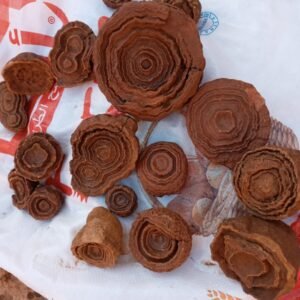 Wholesale natural Moroccan sandstone concretions